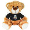 Fred or Beau Bear
